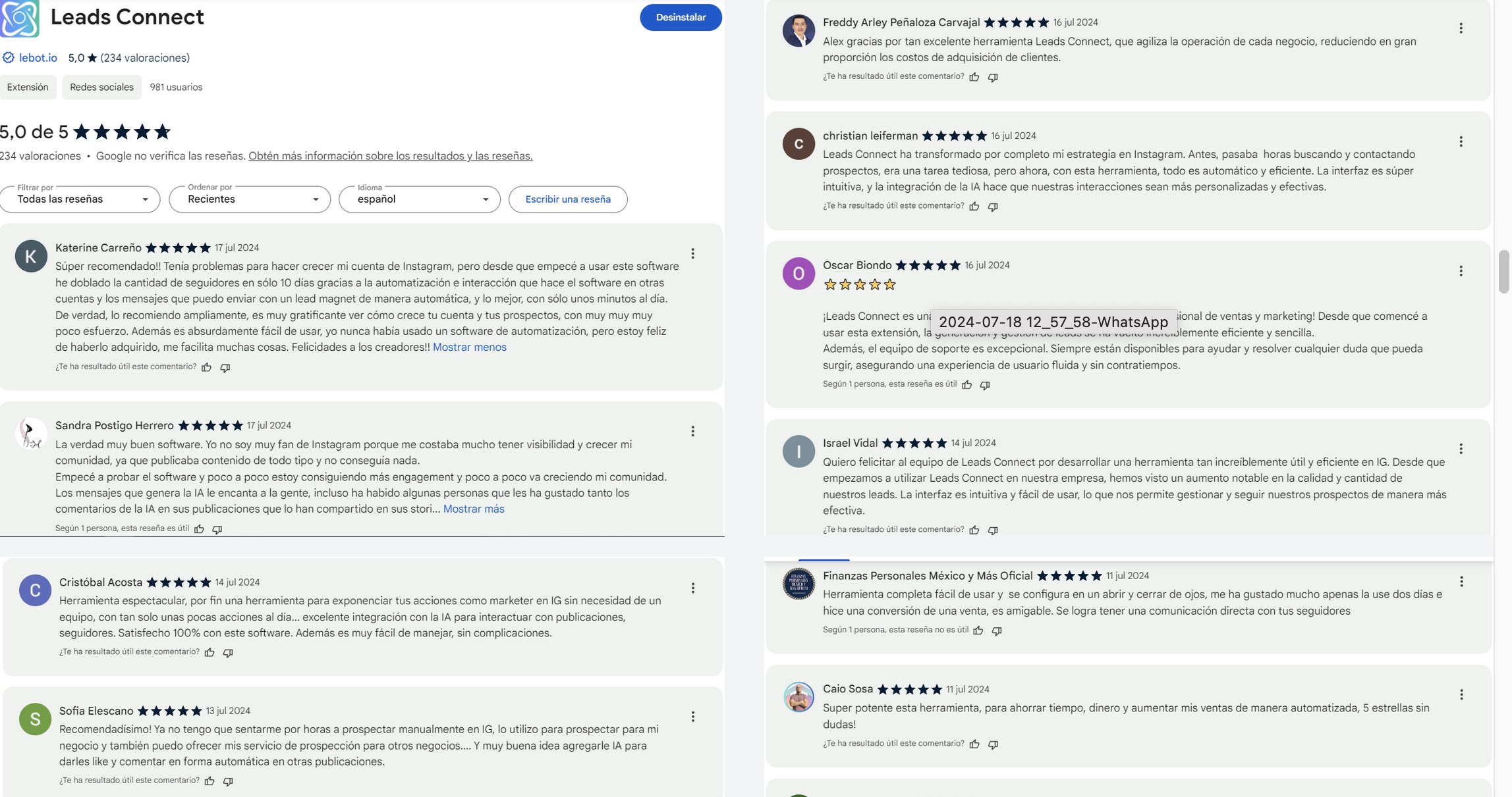 leadsconect_comentarios